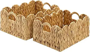 GRANNY SAYS Scalloped Baskets for Shelves, Water Hyacinth Woven Basket with Built-in Handles, Large Wicker Baskets for Storage and Organizing, Pantry, Home Decor, 2-Pack