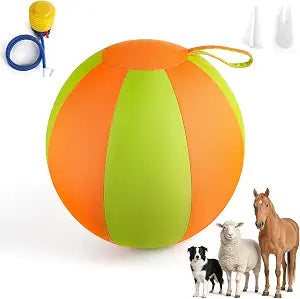 ALL FOR PAWS Herding Ball for Dogs, 22'' Dog Agility Training Balls with Handle for Outdoor Play, Anti-Burst Ball for Australian Shepherd & Horses, Interactive Toy Balls for Medium & Large Dogs