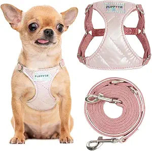 Puppytie No Pull xs Dog Harness with Multifunction Dog Leash,Soft Adjustable No Choke Escape Proof Pet Harness Vest,Glossy Pink,XXS