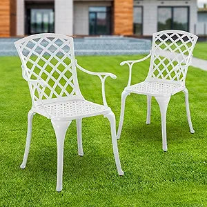 Patio Chair Set of 2 with Armrest,Cast Aluminum Patio Dining Chairs with Adjustable Foot Cap,All Weather Outdoor Bistro Dining Chairs for Garden,Yard,White