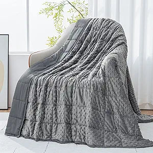 Cottonblue Weighted Blanket 20lbs for Adults Queen Size, Cooling Breathable Minky Dots Heavy Blanket for Deep Sleep and Relaxation, Washable All-Season Throw Blankets, 60 x 80in 20lbs, Grey
