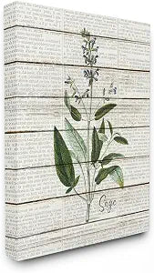 Stupell Industries 'Sage Vintage Herb Kitchen Dining Room Word'| Canvas Art