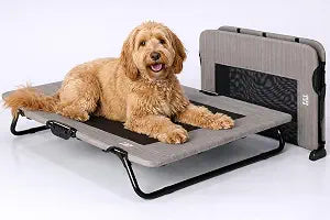 Pet Gear Lifestyle Pet Cot Elevated Bed, 30 Inch, Sand Dune | No Assembly Required, Premium Tear Resistant Cooling Mesh, Indoor & Outdoor, Lightweight & Portable