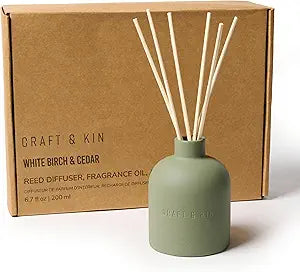 Craft & Kin Reed Diffuser for Home & Bathroom  White Birch & Cedar Holiday Reed Diffuser Set with Fragrance Sticks, Long-Lasting Alcohol-Free Winter Scent, Earthenware Collection, 6.7oz