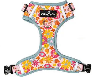 Lucy & Co. The Y2K Baby No-Pull Dog Harness - Size Small - Vest to Stop Pulling & Walk Easy - Comfortable Leash Training Product w/Adjustable Chest & Neck Straps