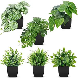Der Rose 6 Pack Fake Plants Small Artificial Plants in Black Pots for Home Office Desk Bathroom Aesthetic Farmhouse Room Decor Indoor