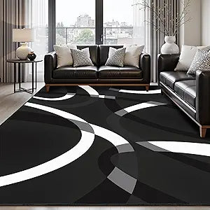 Classical Modern Black and White Stripe Pattern Area Rug for Living Room 5x7 Outdoor Rug Non Slip&Non-Shedding Low Pile Indoor Large Carpets for Bedroom, Dining Room, Home Office, Bathroom