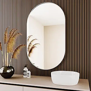 Protylctaster Oval Bathroom Mirror,20x28'' Silver Mirror,Wall Mirror,Bathroom Mirror Oval,Pill Shaped Mirror,Entryway (Silver)