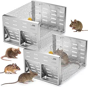 Qualirey 2 Pack Humane Rat Trap with Double Opening One-Way Door 12 x 9 x 6 Inch Automatic Chipmunk Rodent Small Mouse Trap Cage No Kill Animal Live Squirrel Rat for Indoor Outdoor Use