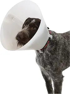Buster Classic Collar, 35 cm
