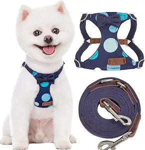 Puppytie No Pull Small Dog Harness with Multifunction Dog Leash,Lightweight Soft Adjustable No Choke Escape Proof Pet Harness Vest Pet Harness Vest,Polka dots Starry Sky,S