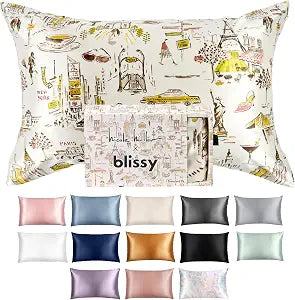 Blissy Silk Pillowcase - 100% Pure Mulberry Silk - 22 Momme 6A High-Grade Fibers - Silk Pillow Cover for Hair & Skin - Regular, Queen & King (Nicole Miller - NY to Paris, King)