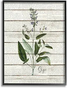 Stupell Industries 'Sage Vintage Herb Kitchen Dining Room Word Collage Design', Framed Giclee Art, Black, 11 x 14 Inches, Easy to Hang and Sturdy, Made in USA, by Kim Allen