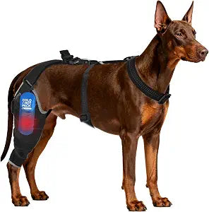 Dog Knee Brace for Back Leg - Adjustable Breathable Canine Leg Wrap with Hot & Cold Gel Packs - Supports Large & Medium Dogs with Arthritis, Hip Dysplasia, ACL Injuries