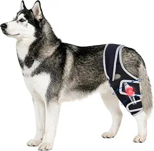 Dog Knee Brace for Torn Acl Hind Leg - Protect Dog's Joints,Adjustable Front Back Leg Support Bracket for Warmth and Support, Four Leg Universal Dog Knee Brace,(Szie XL).