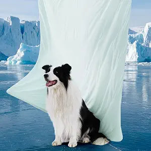 Bedsure Cooling Blanket for Large Dogs with Breathable Air-Core Fill Q-MAX>0.4 - Lightweight Pet Cat Throw Cold Blanket Washable for Couch Bed SummerSoft Dog Cooling Mat, Pale Jade, 50x60