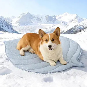 COZY KISS Cooling Mat/Pad/Blanket for Dogs & Cats Indoor  Fabric, Non-Gel, Non-Electric, Q-Max > 0.4 Leaf Shaped Pet Pad, Waterproof Summer Sleep Mat, 39x34inch, Blue