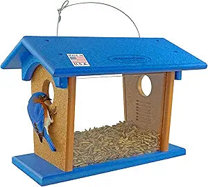DutchCrafters Hanging Bluebird Feeder for Mealworms with 1 1/2" Entrance Hole, Outdoor Live or Dried Mealworm Feeder for Bluebirds - Amish USA Made (Blue & Cedar)