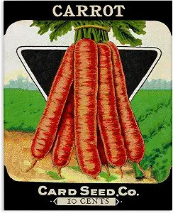 Stupell Industries Vintage Gardening Carrots, 16 x 20 Inch Canvas Wall Art