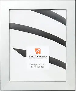Craig Frames Bauhaus 125 Picture Frame, 10 x 12 Inch, Brushed Silver