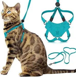 Houdini Escape Proof Cat Harness and Leash Set by OutdoorBengal  Turquoise, Medium Cat Harness for Walking
