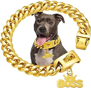 Gold Dog Collar Chain with Pendant Tag,Stainless Steel Walking Metal Chains Collars,19MM Wide,Heavy Duty Cuban Link Strong Chew Proof for Medium Large Dogs(22inch)