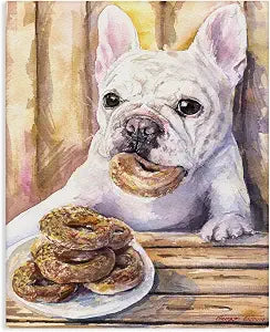 Stupell Industries 'French Bulldog with Donuts Dessert Pet Dog'| Canvas Art