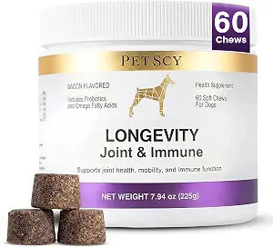Petscy Longevity Hip & Joint + Immune Support Chews for Dogs - 3.75g Chew - High Dose Glucosamine, MSM, Chondroitin, Green Lipped Mussel, Omega 3, Probiotics - 60 Chews (Small & Medium Dogs)