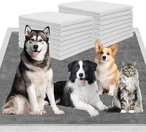 Charcoal Puppy Pads 36"51", Ultra-Large Carbon Pee Pads for Dogs, Odor-Control Puppy Pads, 6-Layer Dog Training Pads, Ultra-Absorbent & Quick-Dry Black Dog Pads 40 Count