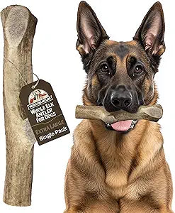 Heartland Elk Antlers for Dogs - Daily Dental Care Chews for Aggressive Chewers to Reduce Plaque & Prevent Destructive Behavior (Splinter Free, Whole, 8", X-Large, 1-Pack, Grade A, USA Made)