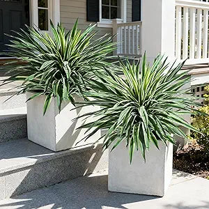 Artificial Agave Plant Fake Agave Planters for Indoor Outdoor Faux Agave Plants Real Touch Realistic Greenery for Home Living Room Office Bathroom Garden Front Porch Patio Decor (27inch-2 Pcs White)