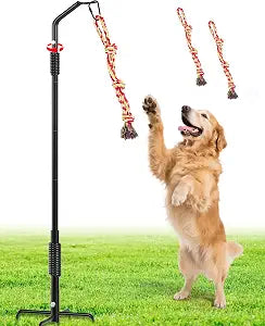360 Rotation Tether Outdoor Dog Rope Toy, Exercise Tug Of War Dog Toy in Yard/Park/Lawn, Dog Training 3 Rope Toys, 2 Strengthen Spring Poles, Self Play and Interactive Toy for Large Medium Small Dog