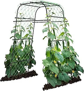 AlisisFores Garden Arch Plant Trellis for Climbing Plants Outdoor, Cucumber Trellis for Raised Bed, Grape Metal,Arbor Trellis Plant Support Flower Vegetables,Tomato Black,6.7FT Rust-Proof