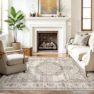 Washable Area Rugs 5x6 Entryway: Soft Ultra Thin Low Pile Mat Machine Washable Indoor Doormat Lightweight Entry Rug Anti Slip Backing Rugs for Living Room Bedroom Kitchen 5'x6' Beige