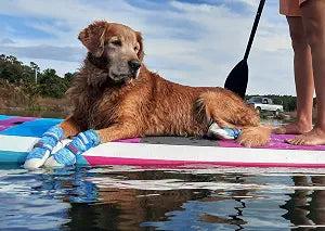 Bark Brite Lightweight Neoprene Paw Protector Dog Boots Designed for Comfort and Breathability in 5 Sizes (Boat Boot Lg)