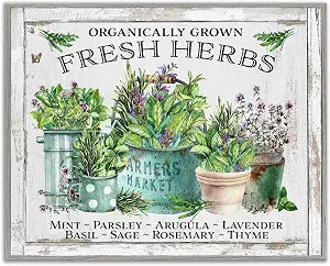Organic Fresh Herbs Kitchen, 16 x 20 Inch Framed Gicle Print