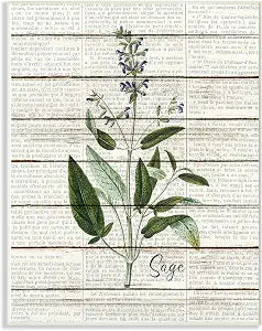 Stupell Industries 'Sage Vintage Herb Kitchen Dining Room Word Collage Design', Wall Plaque Art, 13 x 19 Inches, Easy to Hang and Sturdy, Made in USA, by Kim Allen
