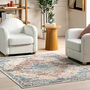 nuLOOM Diana Floral & Paisley 4x6 Area Rug for Living Room Bedroom Dining Room Kitchen, Rust/Beige