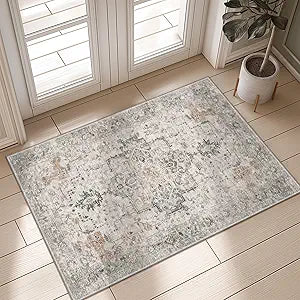GENIMO Area Rug 32x48 inch Doormat, Machine Washable Low Pile Rugs, Small Retro Chenille Entryway Mat for Entrance, Hallway, Kitchen and Corridor, Light Taupe Brown