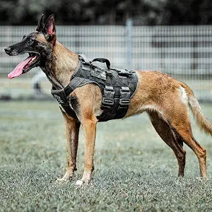PETAC GEAR Tactical Dog Harness K9 Dog Training Vest Adjustable Padded Police Service Dog Working MOLLE Vests for Large Medium Dogs Mals GSD Lab 