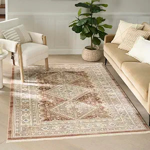Nourison Home Pardis Rust 4' x 6' Area Rug - Easy Clean, Non Shedding, Bed Room, Living Room, Dining Room, Kitchen (4' x 6')