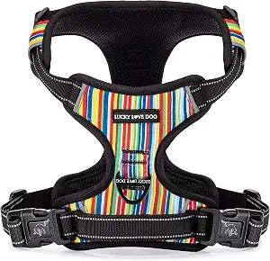 Lucky Love Dog No Pull Dog Harness, Adjustable and Easy to Walk, Cute Patterned Harness for Large Male & Female Dogs - Hippie, Large