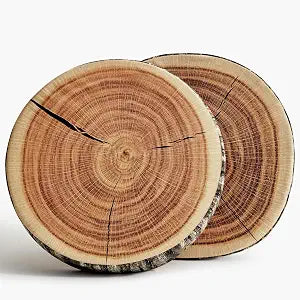 HYSEAS Decorative Round Throw Pillow, 3D Digital Print Comfortable Funny Cute Wood Log Pillow Circle Seating Floor Cushion for Home, Couch, Sofa, Bedroom, Stump, 16 x 2.75 Inch, 2 Pack