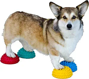FitPAWS Paw Pods for Dog Agility