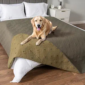 PetAmi Waterproof Couch Cover for Dogs, Non-Slip Leakproof Sofa Furniture Protector for Pet Cat, Machine Washable Bed Blanket for Car Seat, 102x82 Green