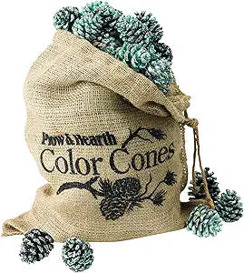 Fireplace Color Cones, Festive Fun Rainbow Flame Changing Pine Cones, Firepit Campfire Hearth Wood Burning Accessories for Holidays or Anytime (2 LB Refill in Burlap Bag)