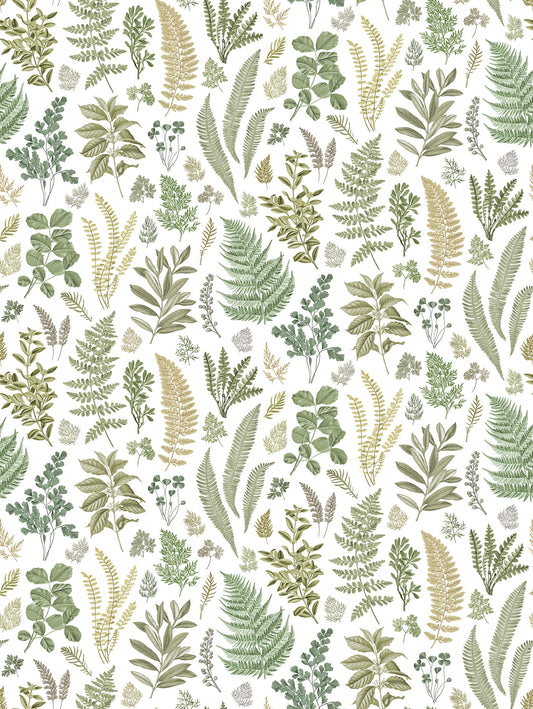 A-Street Prints Britta Green Herbs Wall Mural