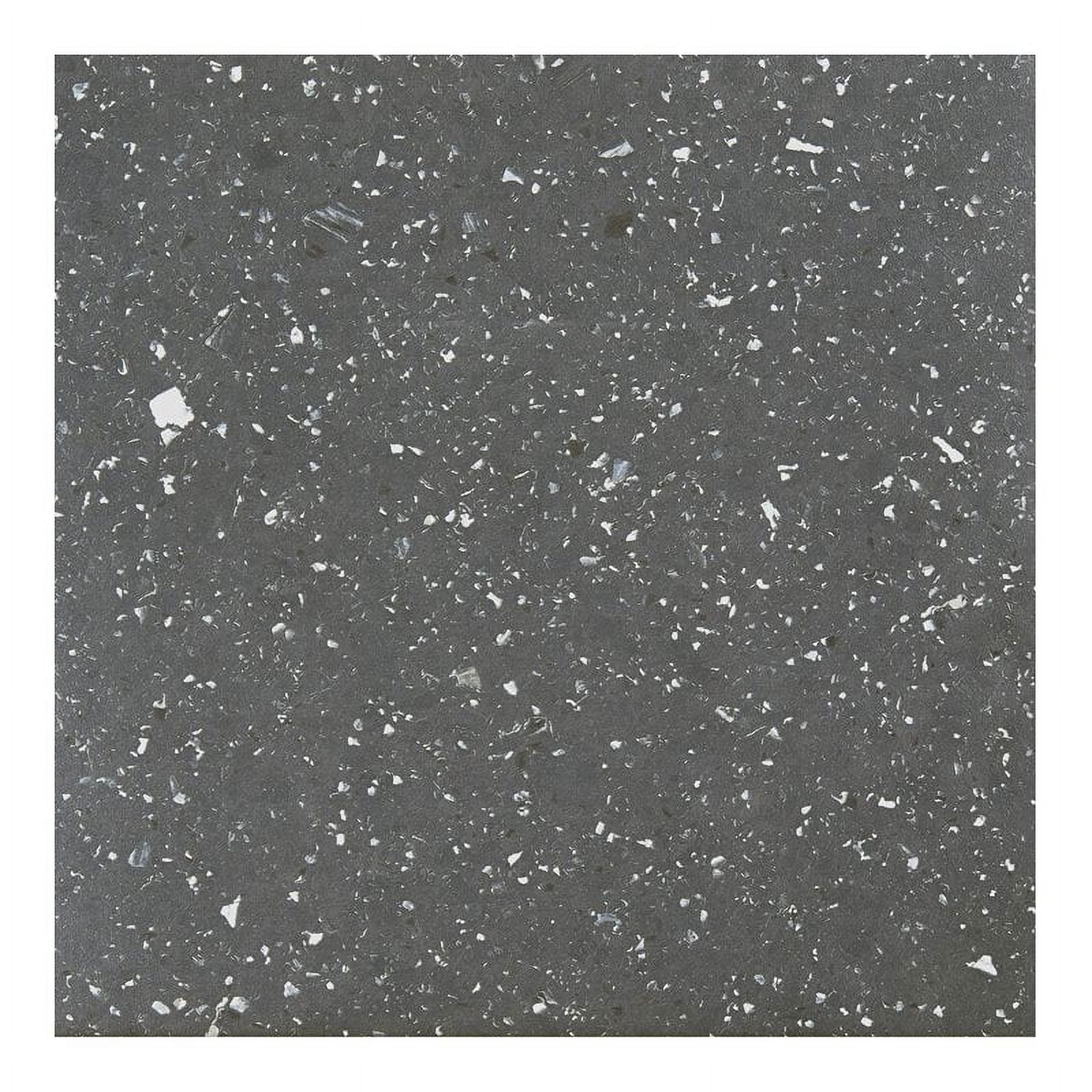 Achim Sterling Self Adhesive Vinyl Floor Tile - 20 Tiles/20 Sq. ft., 12 x 12, Black
