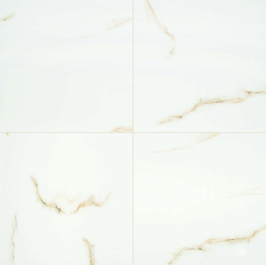 Aria Bianco 24 in. x 24 in. Polished Porcelain Floor and Wall Tile (16 sq. ft. / case)