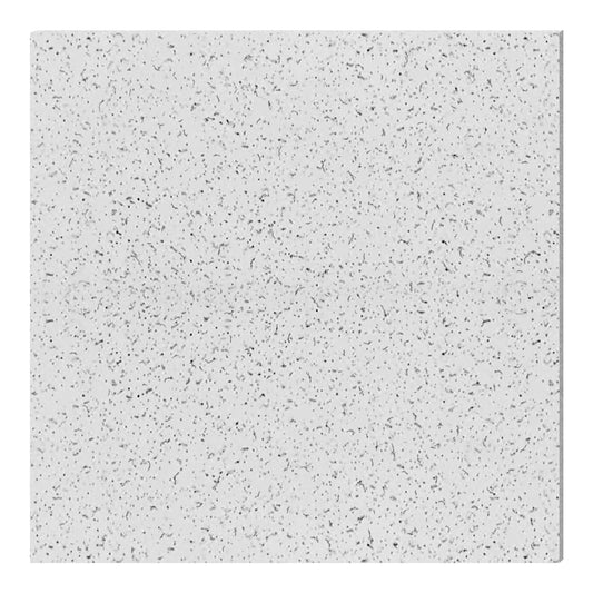 Art3dwallpanel 12-Pack 2x2ft Waterproof Ceiling Tiles, Acoustic, No-Sag Panels for Basement & Office,White Stucco Printing